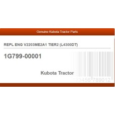 REPL ENG V2203ME2A1 TIER2 (L4300DT)