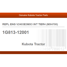 REPL ENG V2403E3MX3 INT TIER4 (MX4700)